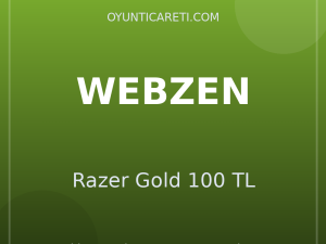 Webzen Razer Gold 100 TL