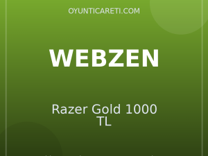 Webzen Razer Gold 1000 TL