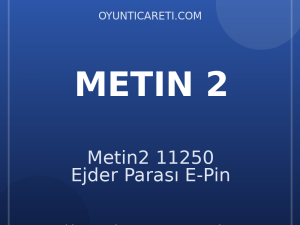 Metin2 11250 Ejder Parası E-Pin