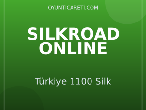 Silkroad Online Türkiye 1100 Silk