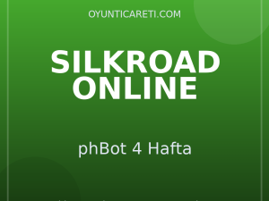 Silkroad Online phBot 4 Hafta
