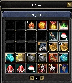 TR SRO KARYA 110 Level Wiz-Cleric Female — görsel 4