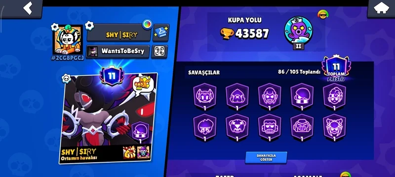 Brawl Stars Hesaplar — görsel 3